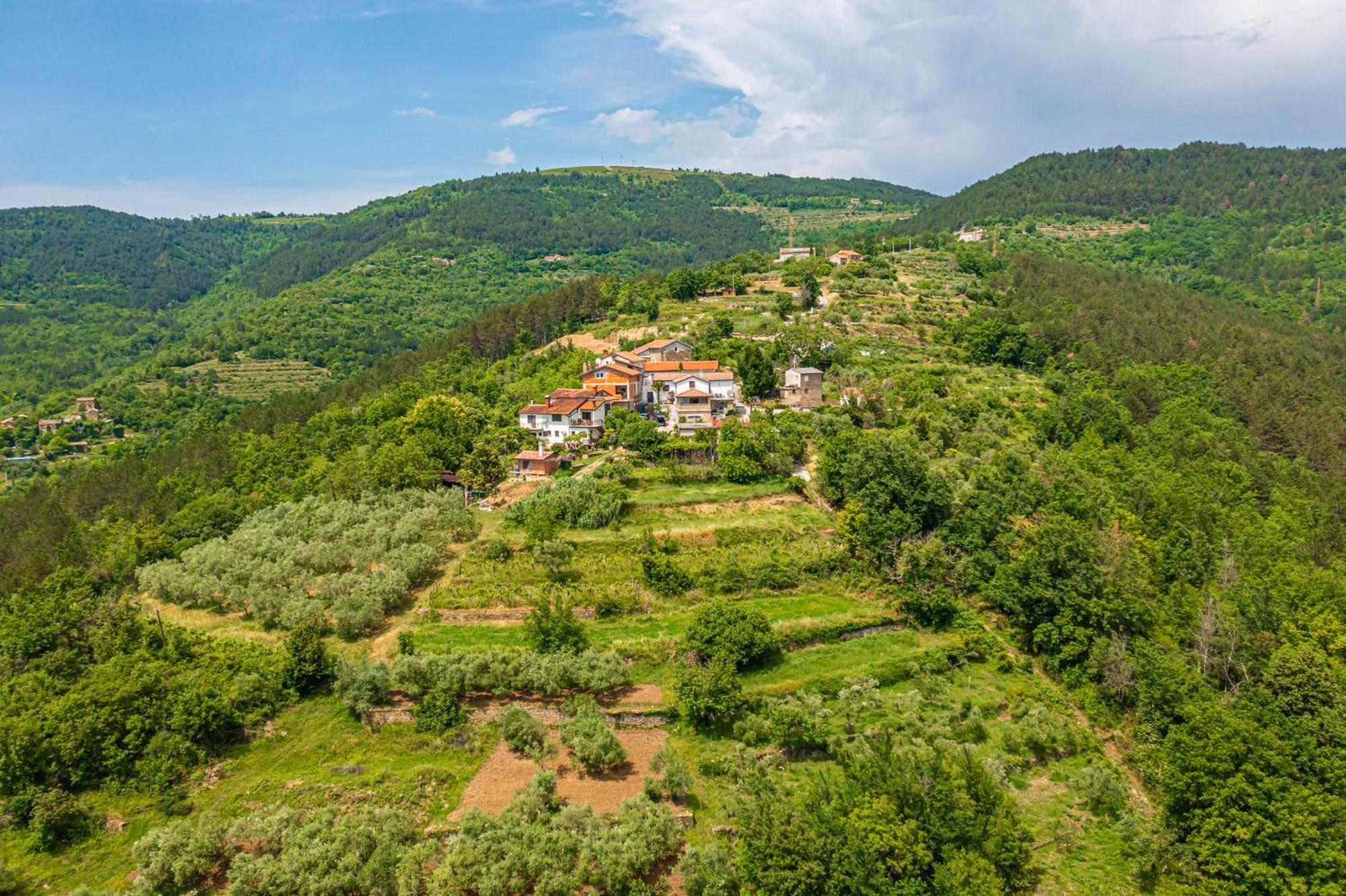 Holiday Home Belveder Motovun With Heated Pool Livade Exterior photo