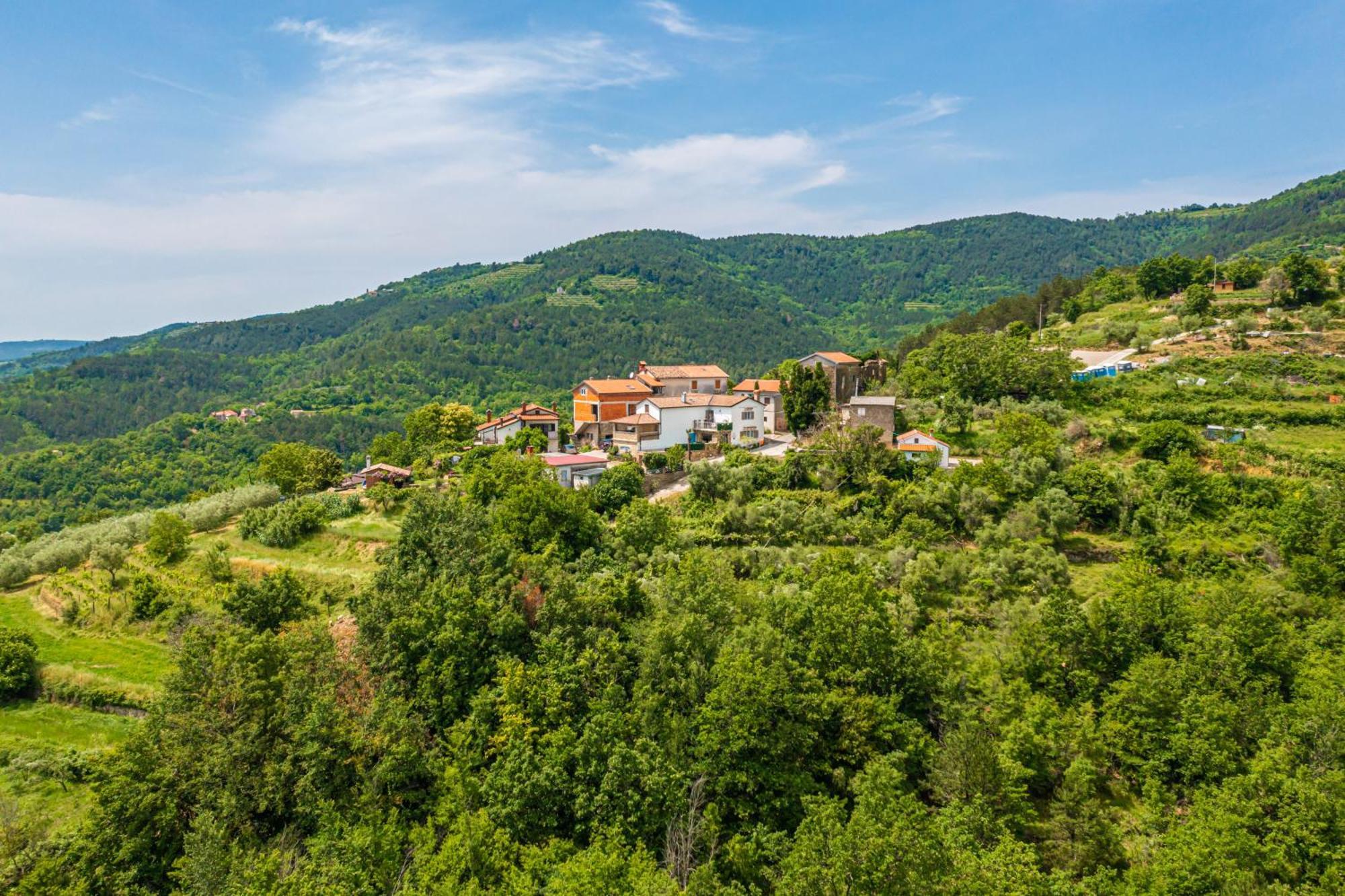 Holiday Home Belveder Motovun With Heated Pool Livade Exterior photo
